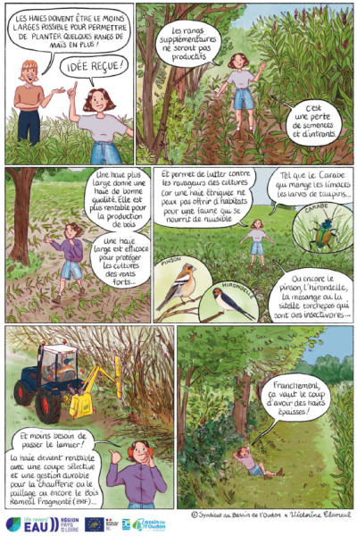 Les haies : une action locale à l’impact mondial pour la biodiversité, l’eau et la santé humaine !