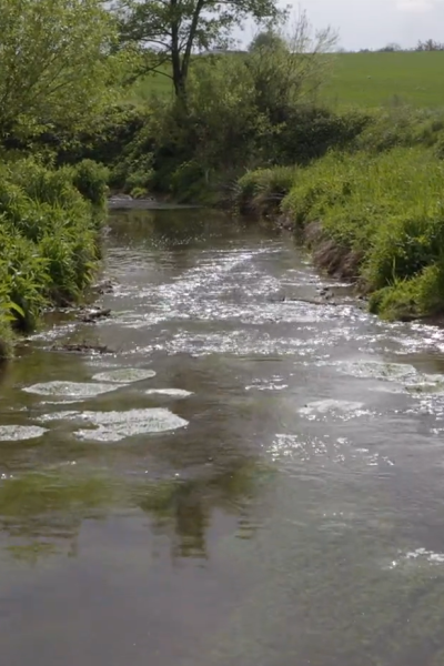 Le bassin de l’Oudon en action : bilan du Contrat Territorial Eau 2020-2025